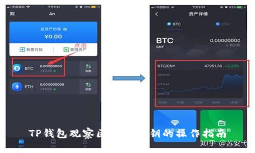 TP钱包观察区导出私钥的操作指南