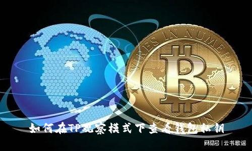 如何在TP观察模式下查看钱包私钥