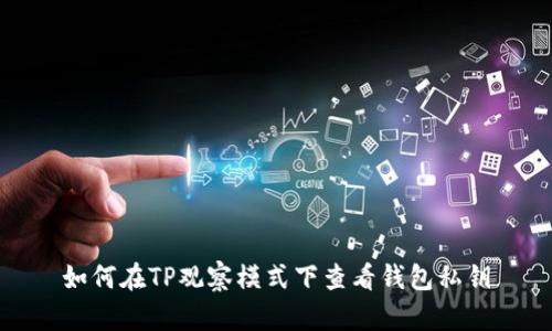 如何在TP观察模式下查看钱包私钥
