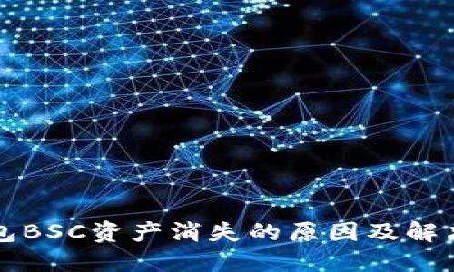 TP钱包BSC资产消失的原因及解决办法