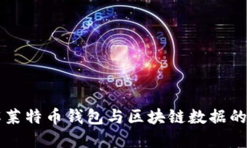 深入了解莱特币钱包与区块链数据的关键要素