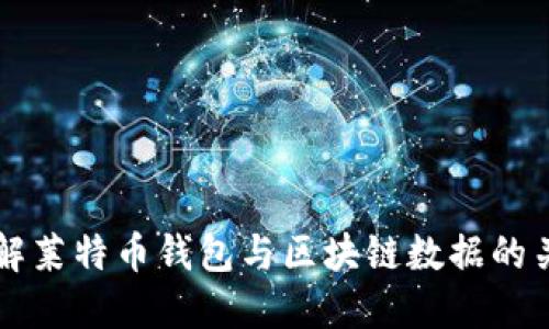 深入了解莱特币钱包与区块链数据的关键要素