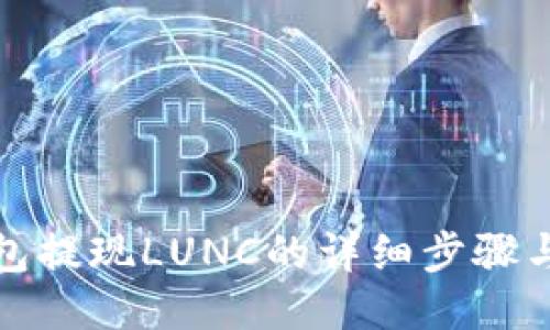 TP钱包提现LUNC的详细步骤与技巧