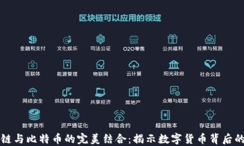 
动画区块链与比特币的完美结合：揭示数字货币背后的技术创新