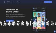 TP钱包钓鱼币能否出售？全