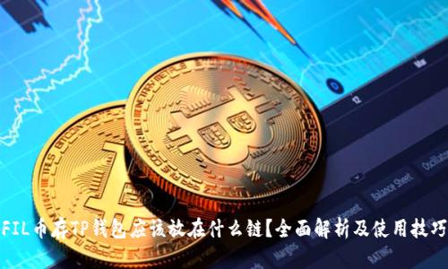 FIL币存TP钱包应该放在什么链?全面解析及使用技巧