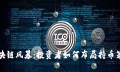区块链风暴：投资者如何